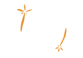 no palm oil